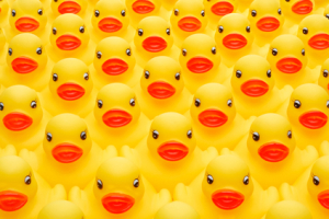 Rubber duck army